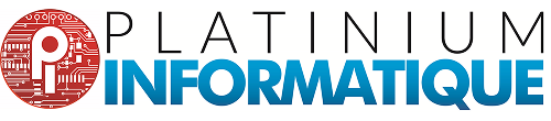 Logo PLATINIUM INFORMATIQUE